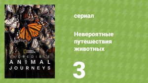 Невероятные путешествия животных 3 серия «Речные гонки на Аляске» (документальный сериал, 2023)
