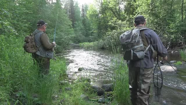 Ловим хариуса на таёжной реке #6 смотреть онлайн
