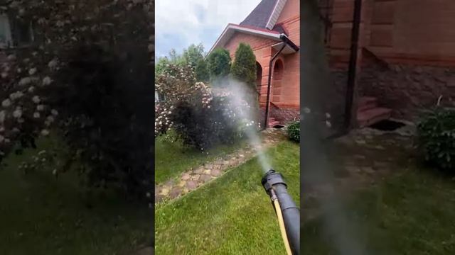 Безопасная зона — Дезинсекция