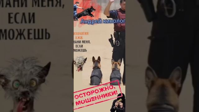 Московские инвесторы смотреть онлайн