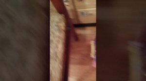 догдэй 🐶💞💖