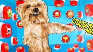 ЗЛОЙ ПЁС УПРАВЛЯЕТ МОИМ ДНЁМ С ПОМОЩЬЮ КНОПОК * 100 КНОПОК ЧЕЛЛЕНДЖ