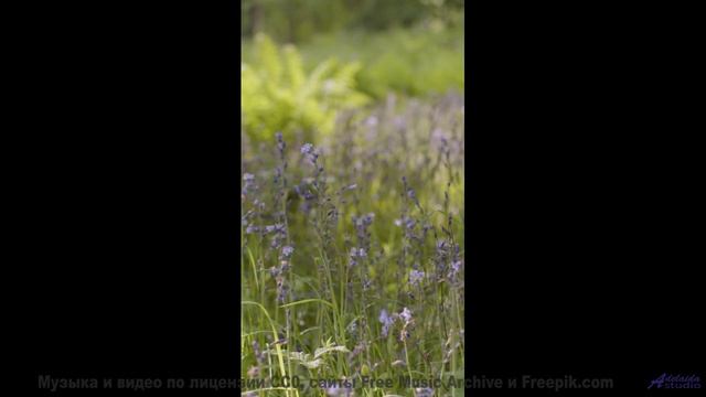 Вы готовы к такому сочетанию - Archipelago Of Stars In Neurological Heavens -- Omniman -- Unnamed Al