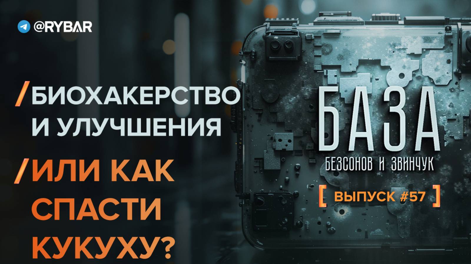 Биохакинг и улучшения: как спасти кукуху?