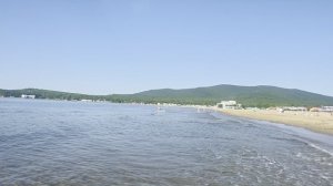 Владивосток! 🇷🇺 🌊⚓️ Шамора.В поисках крестовиков. #Владивосток #Море #Город