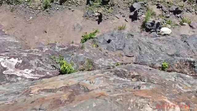 Долина зайцев