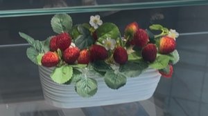 Питание в космосе