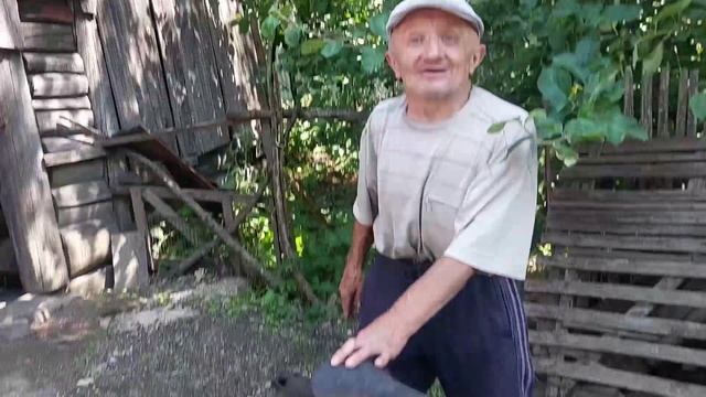 Привезли машину дров Владимиру. смотреть онлайн