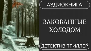 АУДИОКНИГА ПОЛНОСТЬЮ  ❄️  ЗАКОВАННЫЕ ХОЛОДОМ: Секрет зимы /// #детектив #расследование #триллер