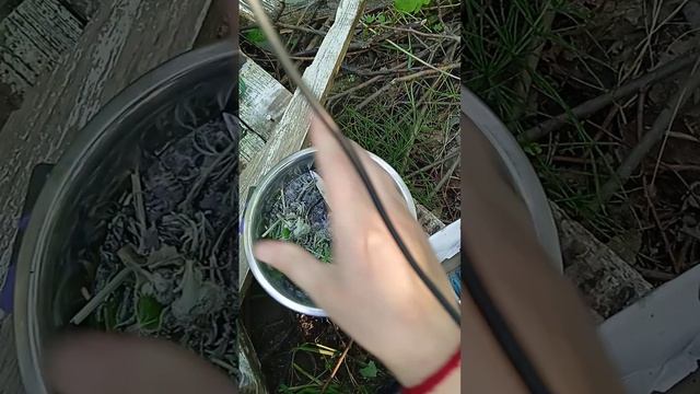 СНЯТИЕ КОЛДОВСКИХ ЛОВУШЕК: ЗАМКОВ, НЕПРОГЛЯДОВ, ОТВОДОВ; КРЮЧКОВ, КРАДНИКОВ