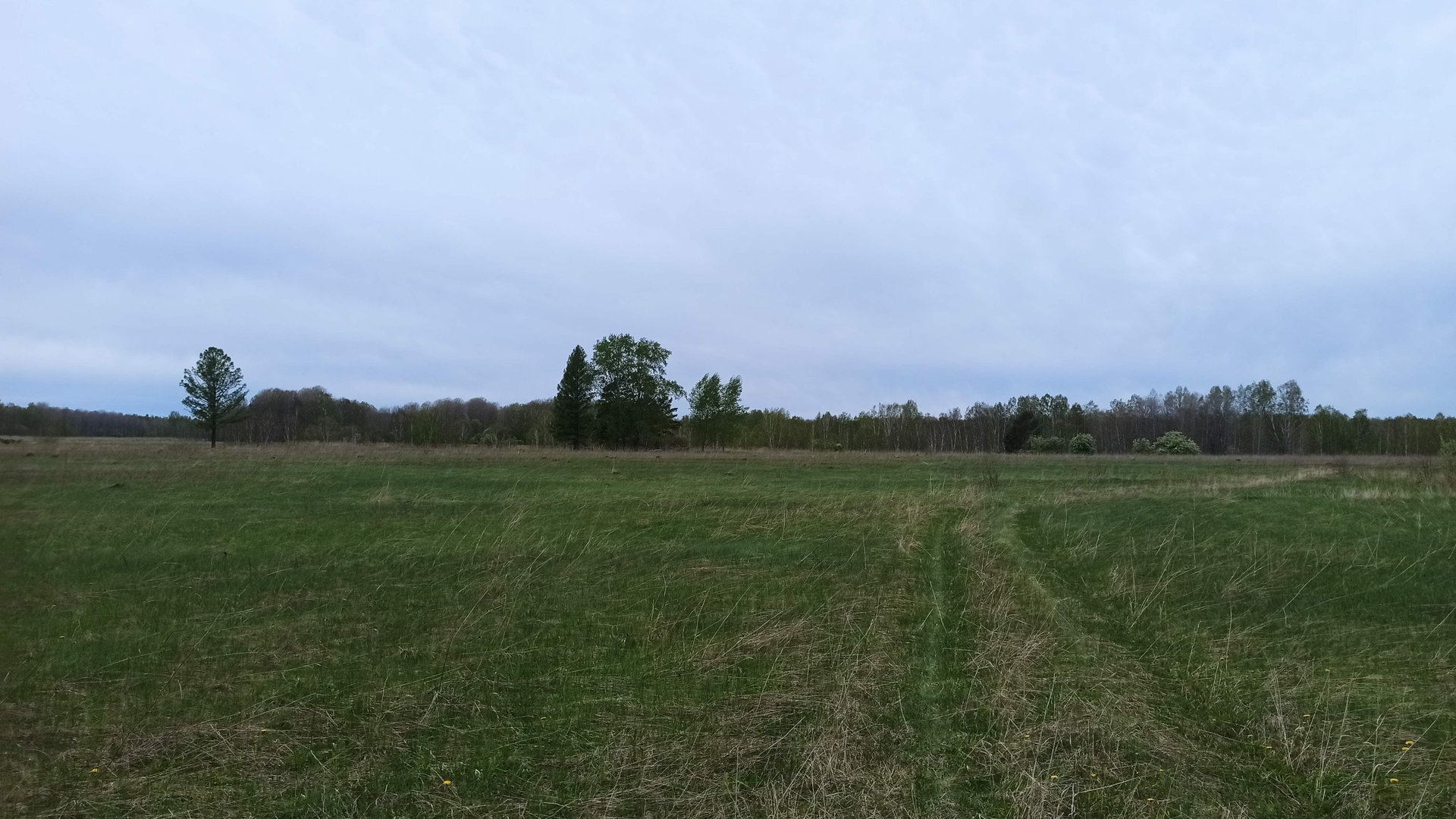 В ПОИСКАХ СТАРИНЫ ПО ЗАБРОШЕННЫМ ДЕРЕВНЯМ. КОП МОНЕТ 2025 смотреть онлайн