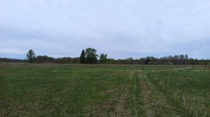 В ПОИСКАХ СТАРИНЫ ПО ЗАБРОШЕННЫМ ДЕРЕВНЯМ. КОП МОНЕТ 2025