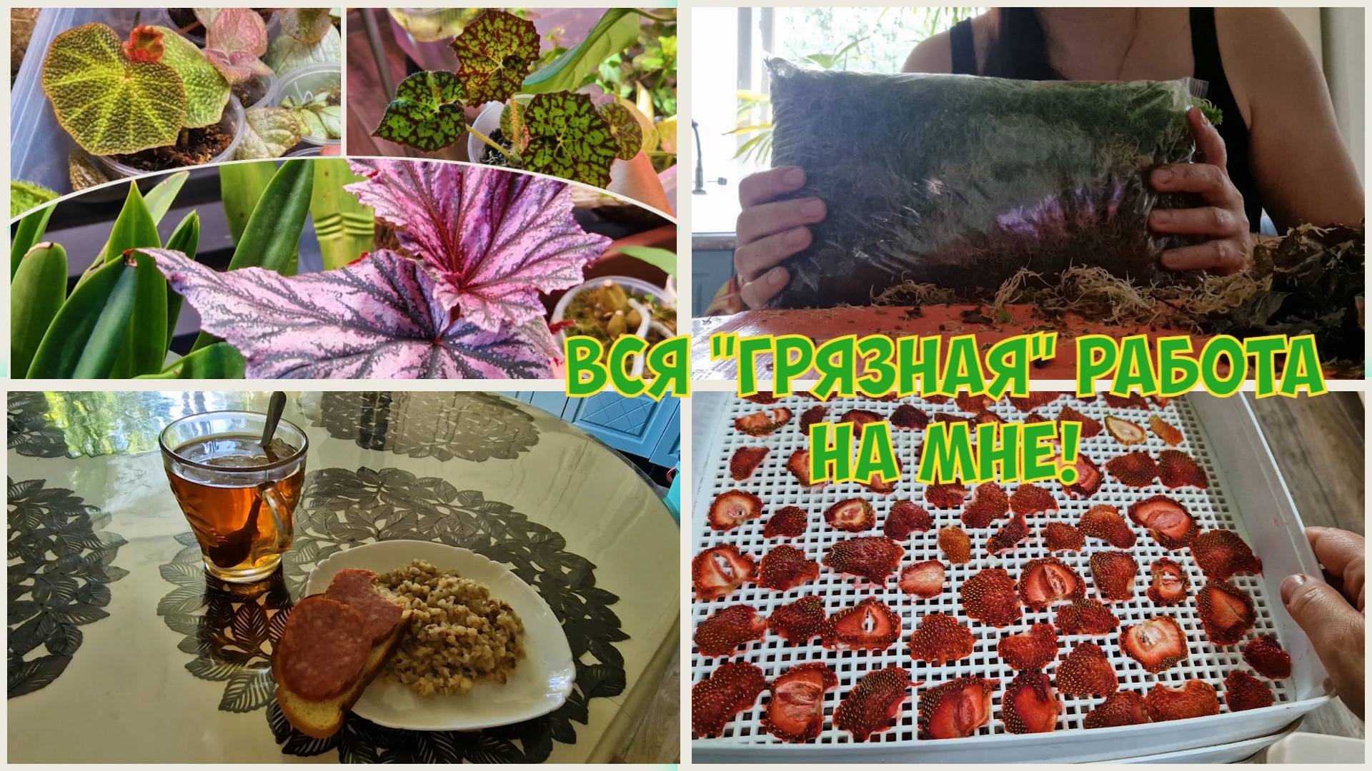 В ДОМЕ всё идёт своим чередом. Новые планы. Разбираю МОХ И рассказываю О НЁМ смотреть онлайн