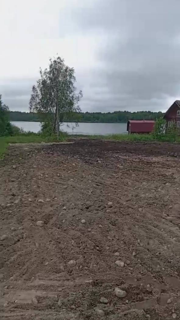 WhatsApp Video 2025-07-10 at 14.01.20 смотреть онлайн