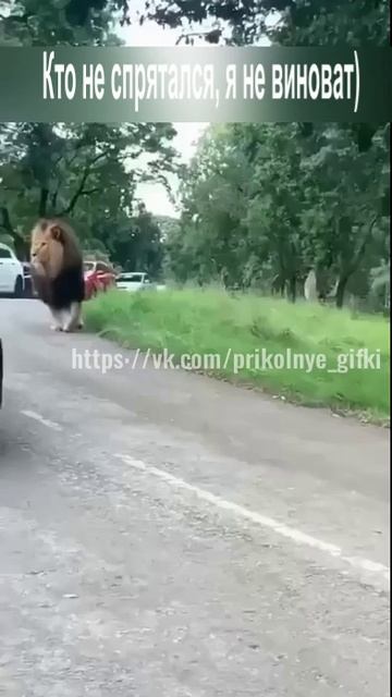 Кто не спрятался, я не виноват.)