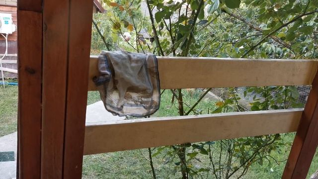 СОЧИ ГОРНОЕ ЛОО ОТДЫХАЮ НА ВЕРАНДЕ БАНИ смотреть онлайн