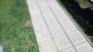 Чтобы трава не росла между плиткой тратуарной