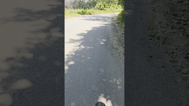 Вело трип 4.mp4🚲