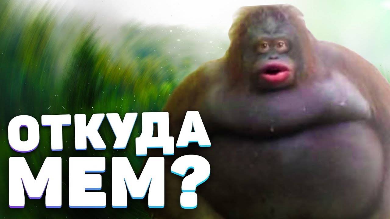 обезьяна стинки ( пароль не 1133 а 1113) смотреть онлайн