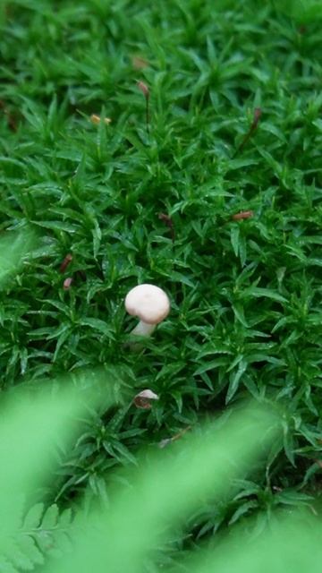 #сезонконтентаRUTUBE