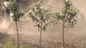 «Агростартап»: как фермеры развивают свой бизнес при поддержке государства