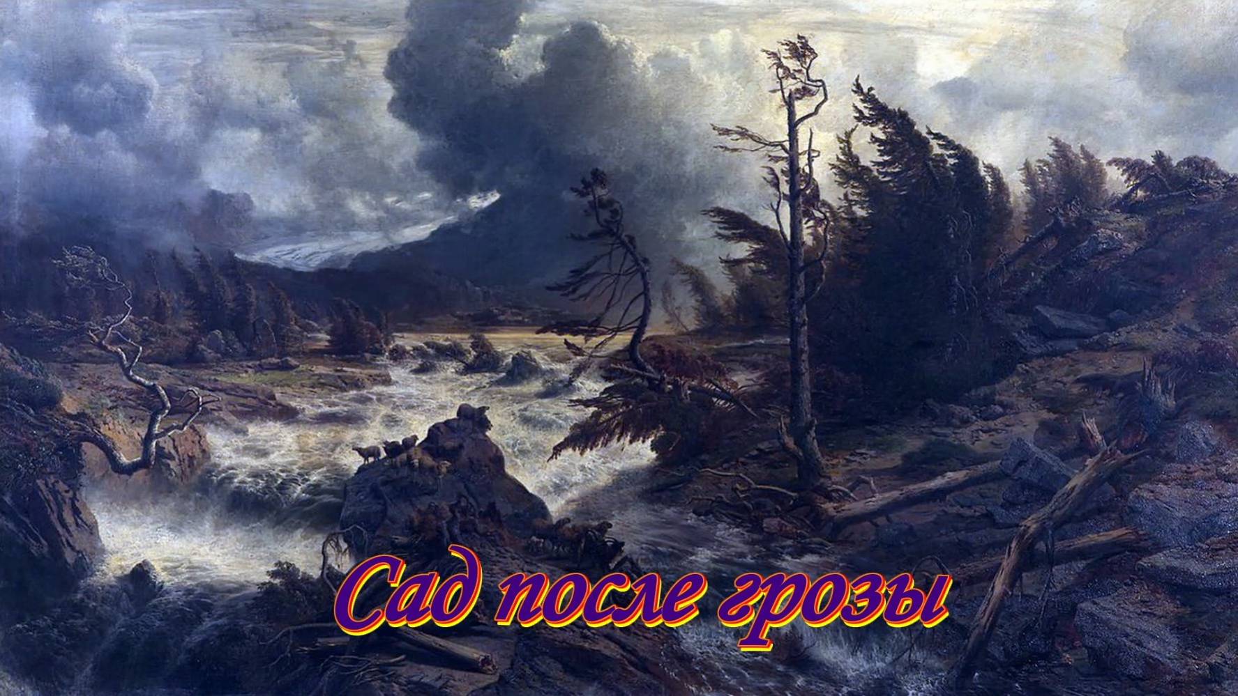 Огород после грозы ветра .