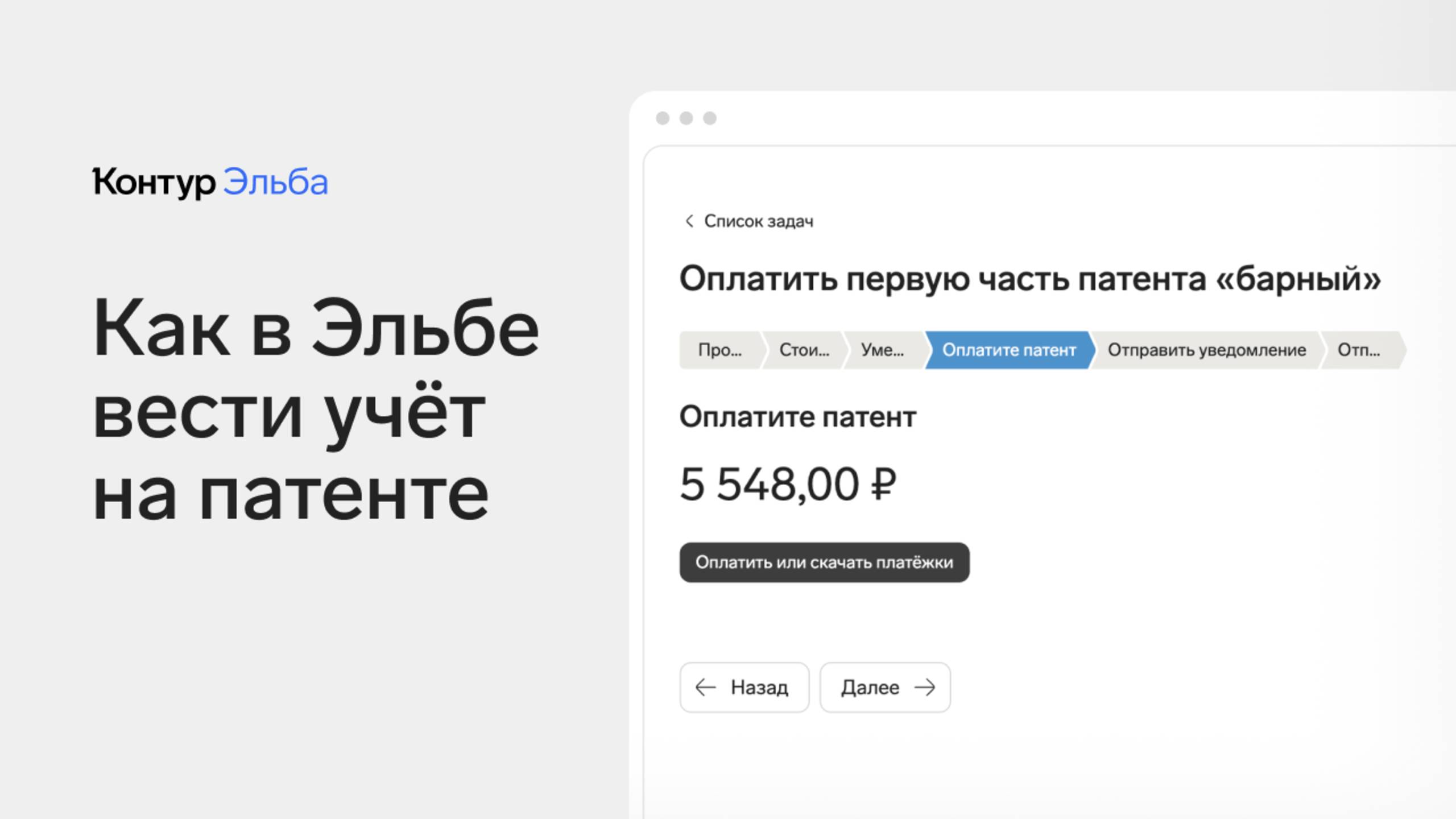 Почему Эльба идеально подходит ИП на патенте смотреть онлайн