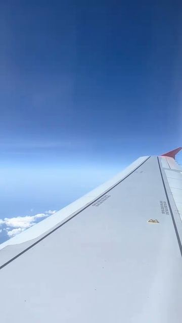 Подняли шум по Химтрейлам, так они во как выкрутились, а ещё корабли начали в море засев смотреть онлайн