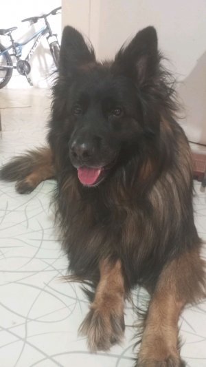 ОТВЕЧАЮ НА ВОПРОСЫ В ЧАТЕ 30 МИН