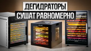 ТОП—5: Лучшие ДЕГИДРАТОРЫ (2025) || Рейтинг лучших сушилок для овощей, фруктов, мяса и рыбы