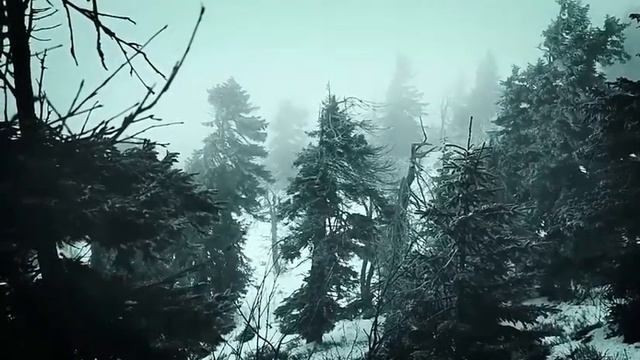 Neige (Stéphane Paut), Herbst, Markus Siegenhort смотреть онлайн