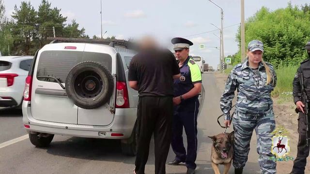 В Нижегородской области подведены итоги второго этапа операции «Анаконда» смотреть онлайн