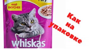 Позы кота как с пакета с едой. Возможно ли повторить. #сезонконтентаRUTUBE