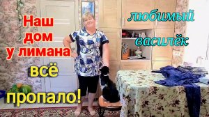 Наш дом у лимана. О посадках в огороде на юге. Море.Ремонты. Демонтаж плитки. Любимый Василёк.