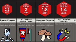 Если Вы Проглотите ___