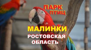 Парк Малинки в Ростовской области | Видеорассказ