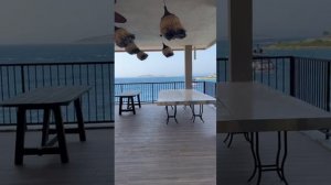 Обзор отеля в Бодруме Blue dreams resort 5*