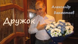 ДРУЖОК (о женской логике) Стихи и музыка АЛЕКСАНДРА БАХМЕТЬЕВА. Исполняет автор.