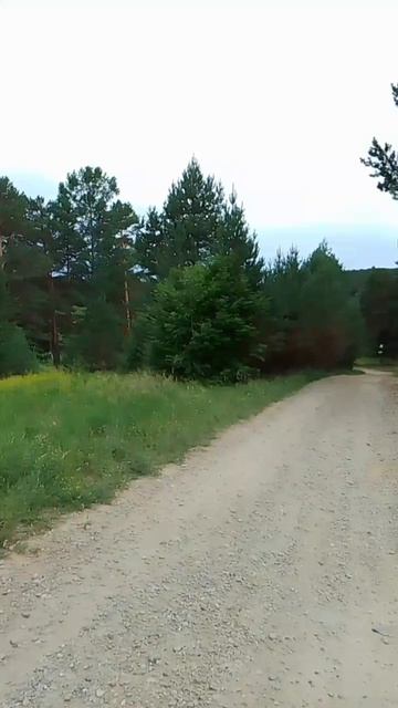 Дорога в дикую тайгу смотреть онлайн