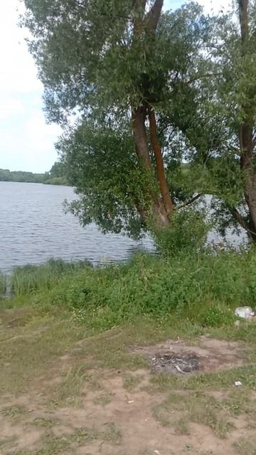 ПРИЕХАЛИ В СУРТЫ НА РЫБАЛКУ! ПОЛНОЕ ВИДЕО СКОРО НА КАНАЛЕ! 12.06.2025 ГОДА | #fishing #рыбалка смотреть онлайн