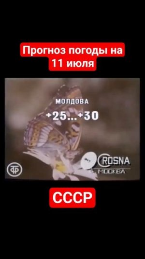 #Прогнозпогоды на 11 июля #ссср #советскоетелевидение #ретро #история #новости #ностальгия