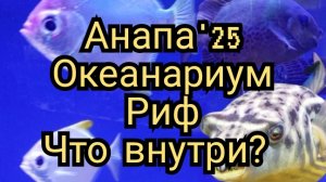 31 #Анапа. #Океанариум Риф 10-07-2025