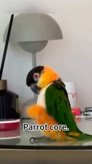 Подруга отправила💥💥🙏