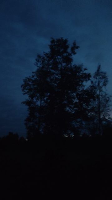 Звуки летних вечеров смотреть онлайн