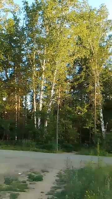 Матушка Земля, белая березонька смотреть онлайн