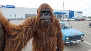 БИГФУТ ВАНЯ- ВЛОГ! В МАГАНИЗЕ! Мариную МЯСО