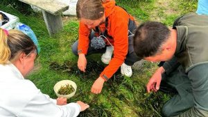 КАК ЛОВЯТ КРЕВЕТКУ НА САХАЛИНЕ! ВСТРЕТИЛИ МЕДВЕДЯ.. Рыбалка на чилима!