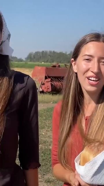 Песни для души! Beloe Zlato - Трактористка #сезонконтентаRUTUBE смотреть онлайн