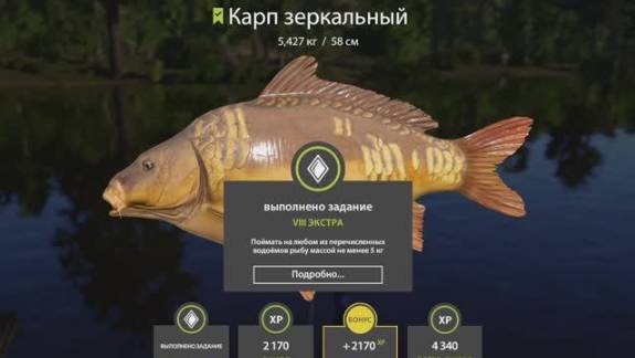 РУССКАЯ РЫБАЛКА 4 РР4 КАРП ЗЕРКАЛЬНЫЙ ДЛЯ КАФЕ