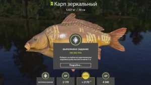 РУССКАЯ РЫБАЛКА 4 РР4 КАРП ЗЕРКАЛЬНЫЙ ДЛЯ КАФЕ